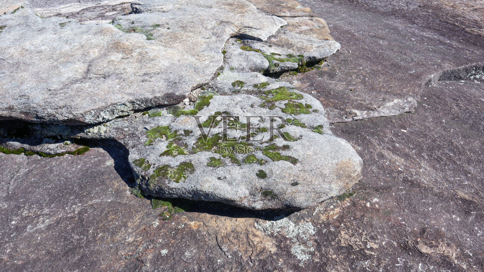 花岗岩蛇头照片摄影图片