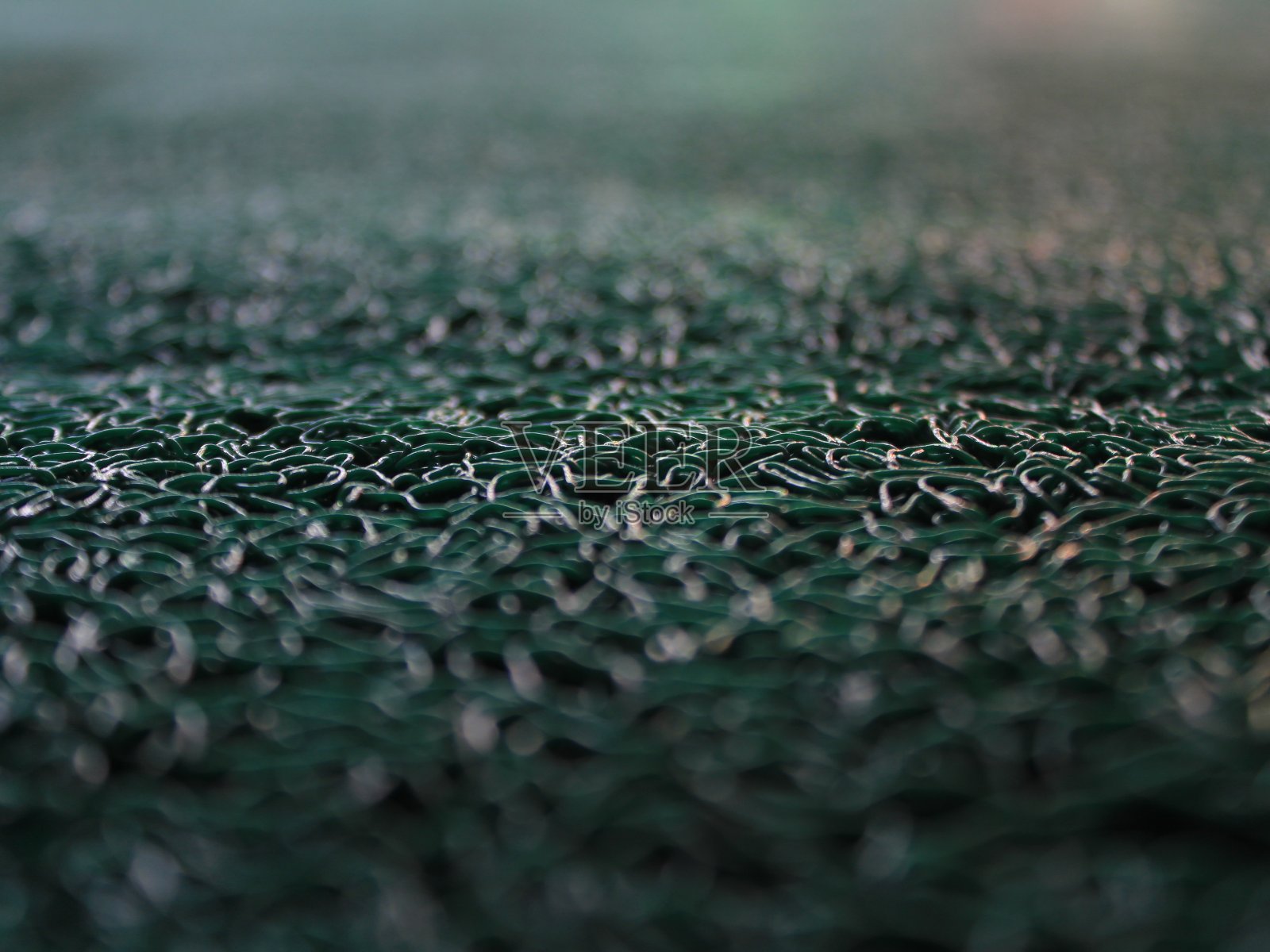 绿色地毯上的特写照片摄影图片