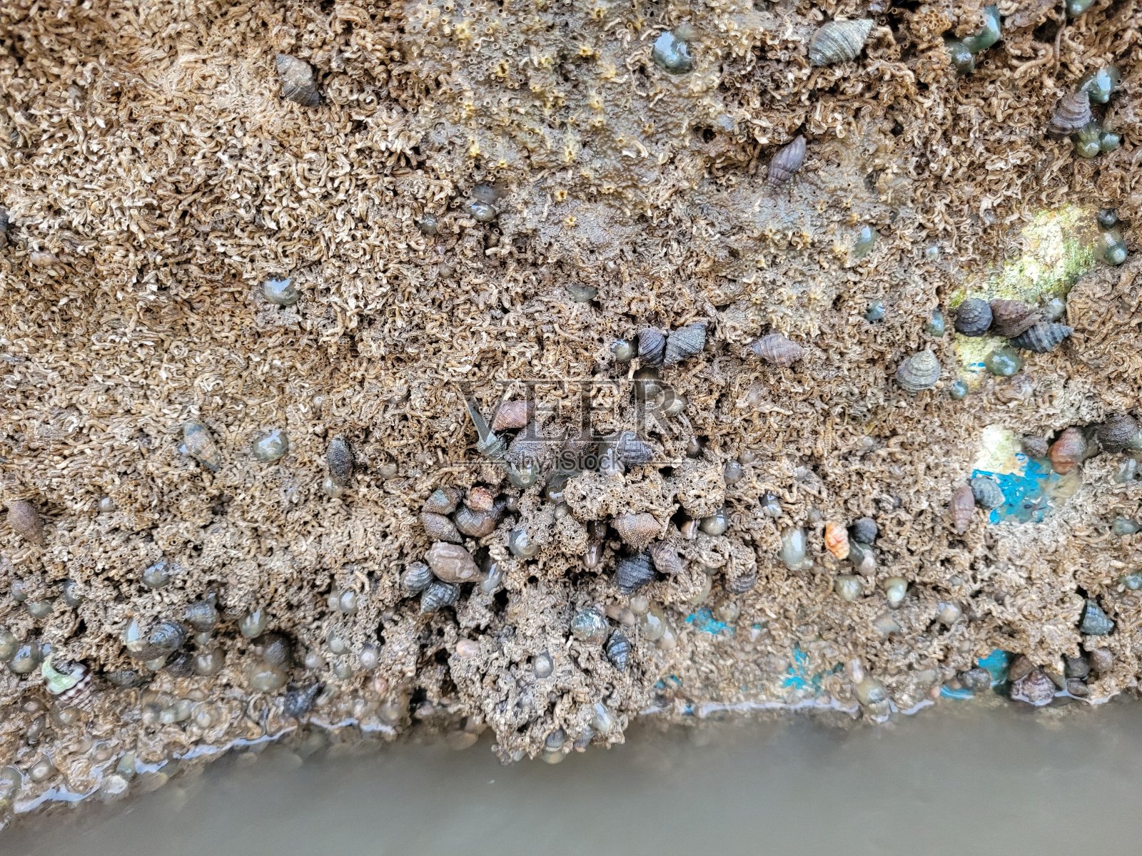 巨湖海滩的沉船图片照片摄影图片