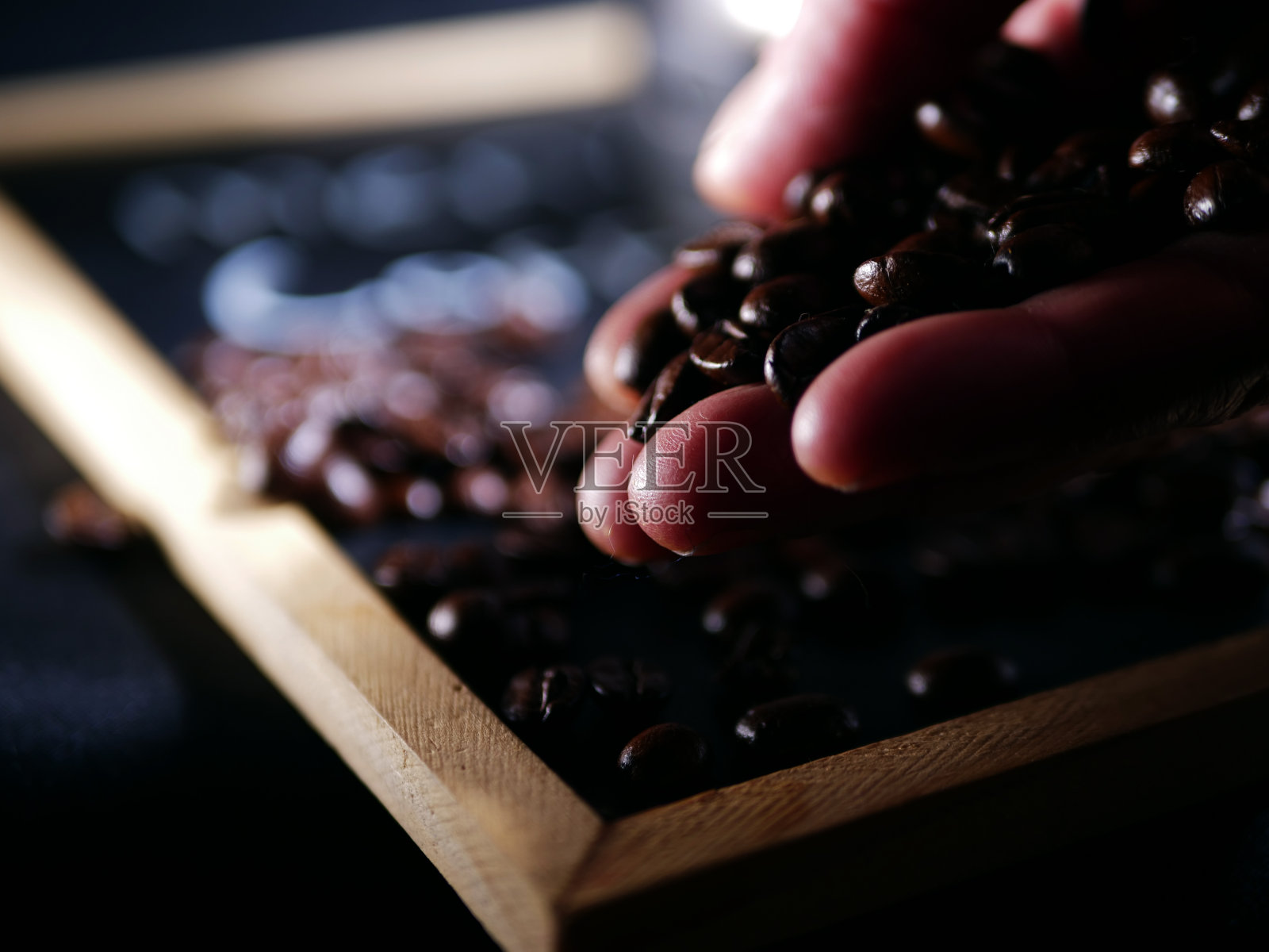 咖啡师用手玩弄新鲜的咖啡豆照片摄影图片