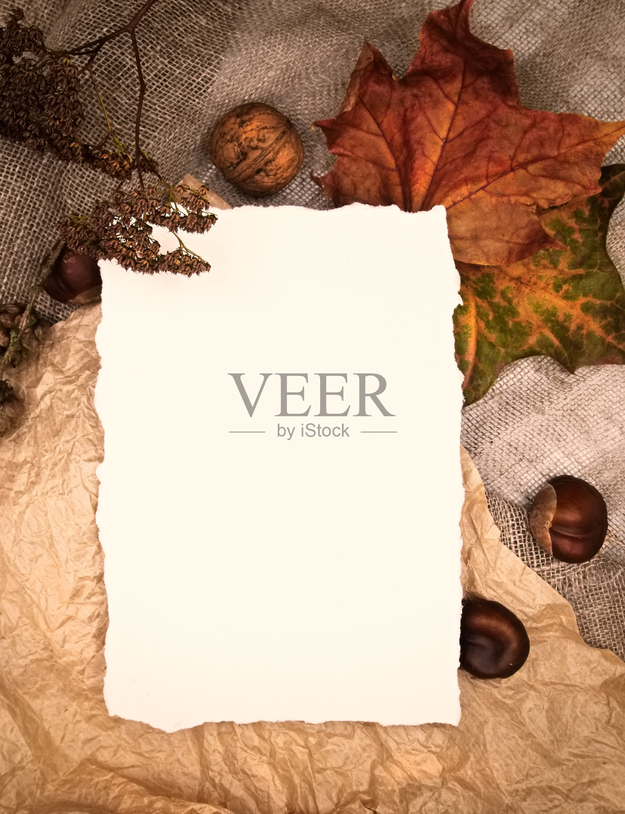 秋日秋日平卧顶景构图。黄色的枫叶和白色的工艺自然棕色的纸。为文本留出空白复制空间的作文。用于海报、卡片等照片摄影图片