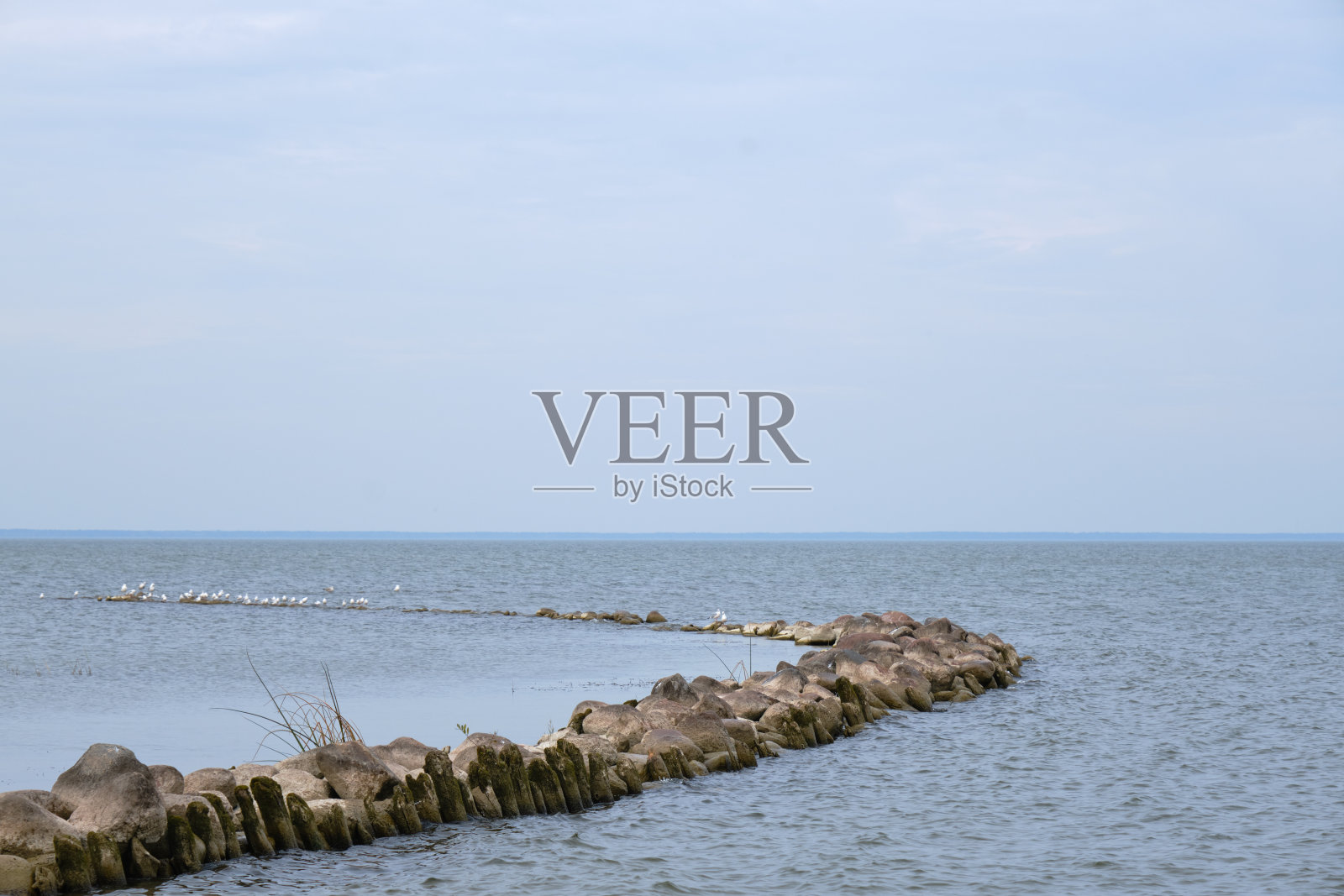 海湾海岸照片摄影图片