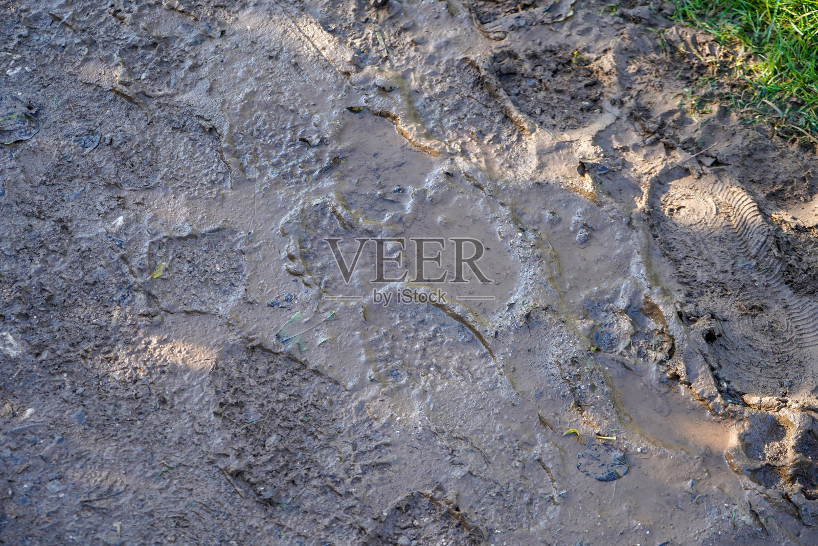 泥里留下了脚印照片摄影图片