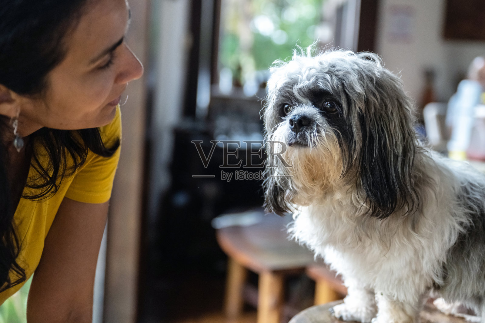 女人和小狗说话照片摄影图片