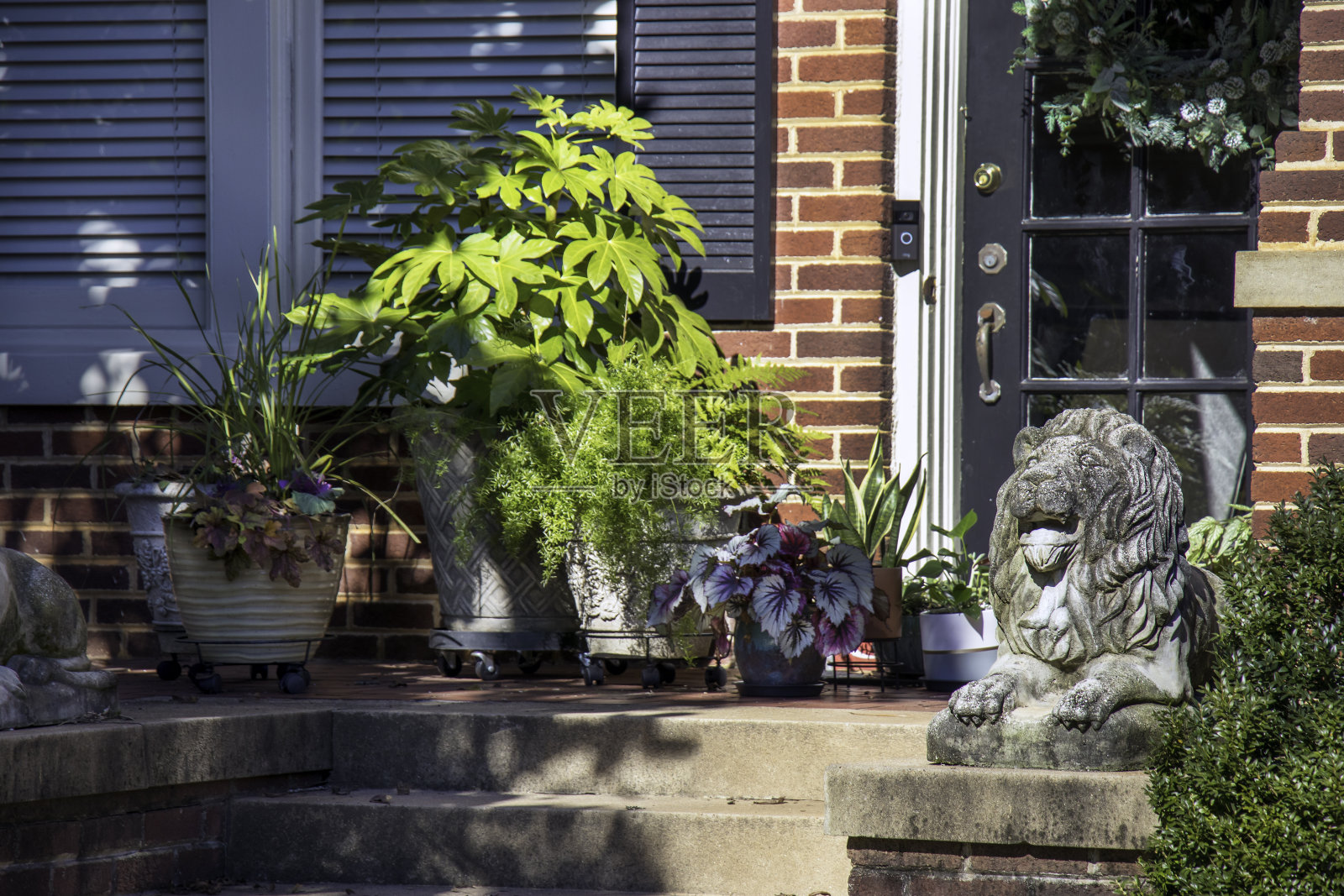 一只风化的混凝土狮子守卫着一座殖民地时期砖砌房屋的正门。照片摄影图片
