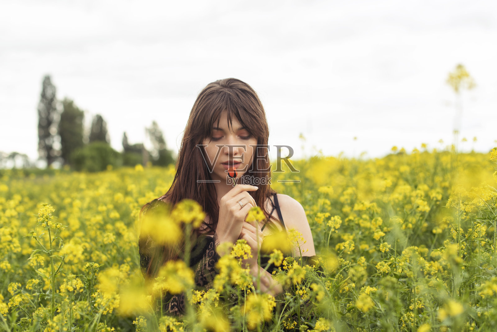 春天田里的年轻女子照片摄影图片