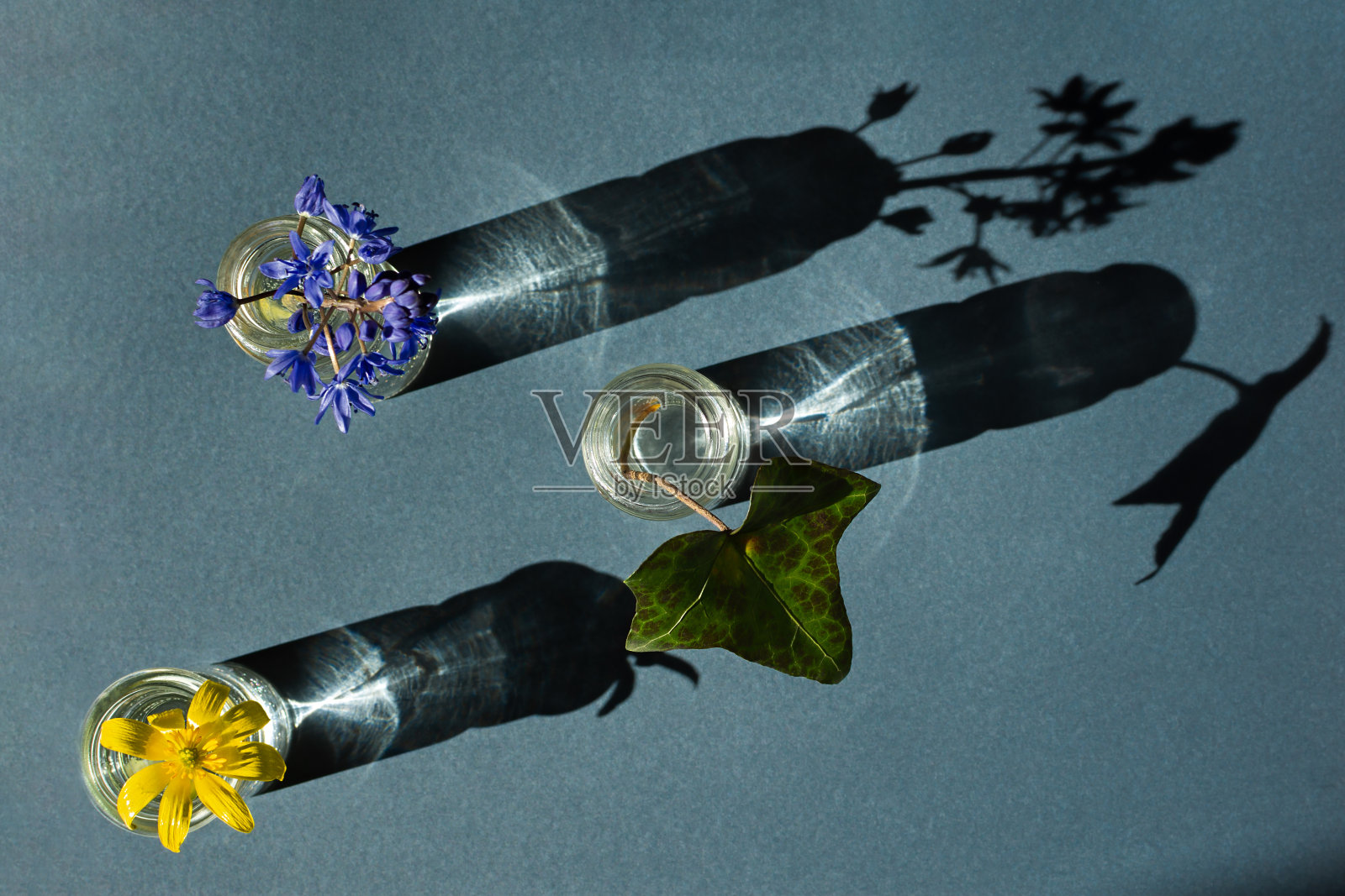 鲜花的花瓶组成。照片摄影图片