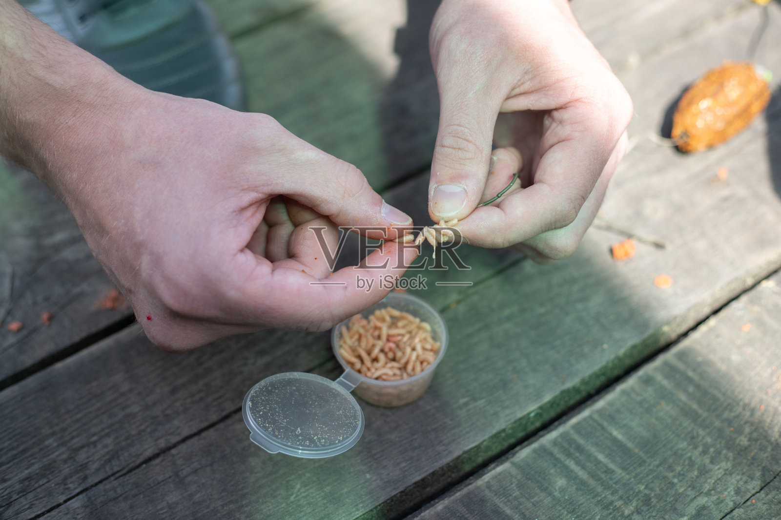 一个男人把蛆放在鱼钩上钓鱼,双手特写照片摄影图片