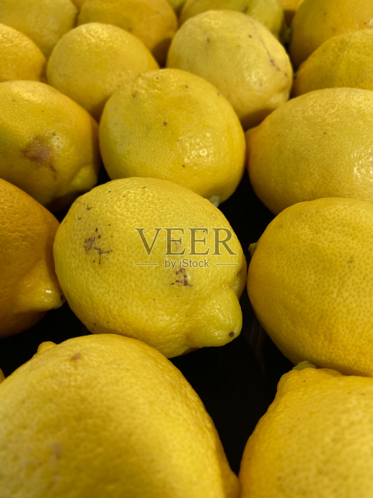 柠檬花园照片摄影图片