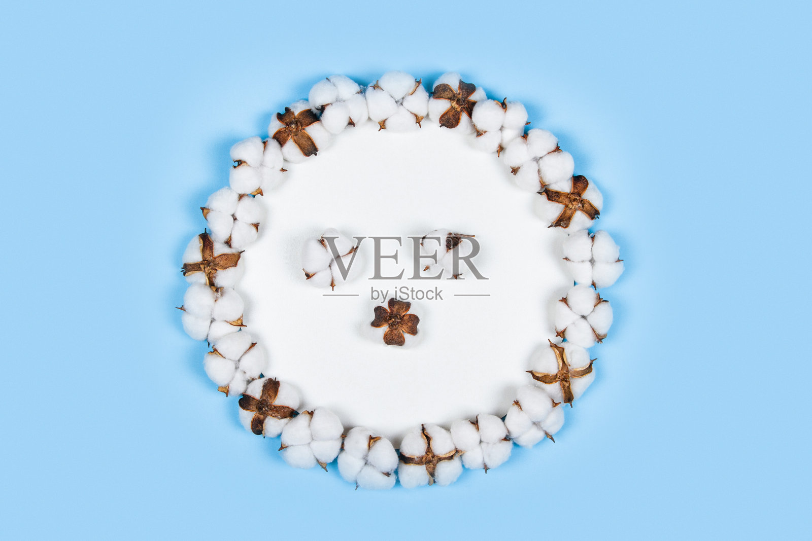 滑稽的棉铃脸照片摄影图片