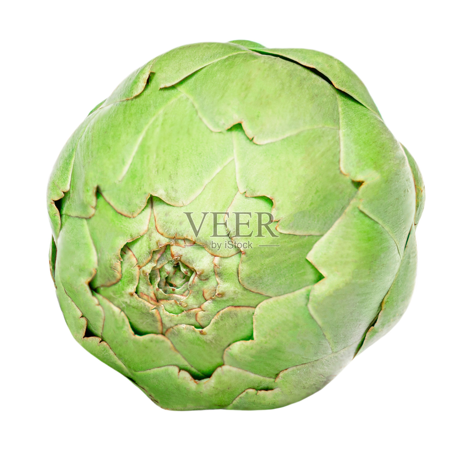 新鲜的洋蓟孤立在白色背景上。生Artichok特写镜头照片摄影图片