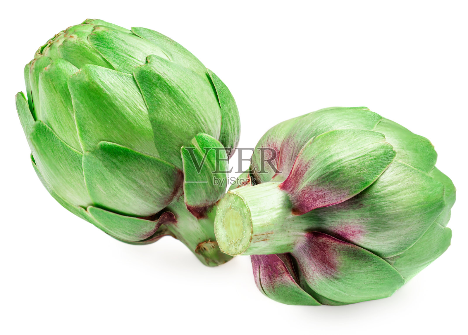 两个新鲜的洋蓟孤立在白色背景上。生Artichok特写镜头照片摄影图片
