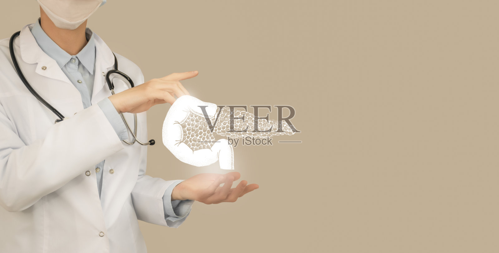 无法辨认的医生手里拿着突出的手胰腺。医学插画,模板,科学模型。照片摄影图片