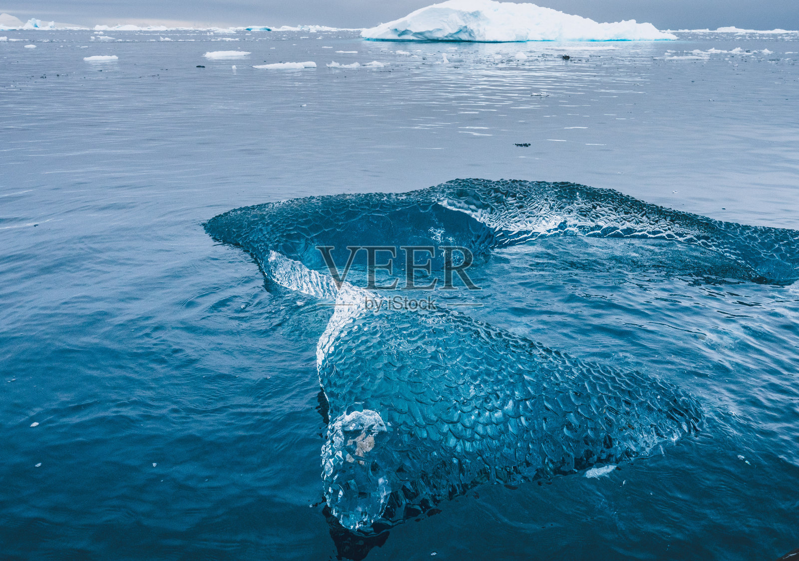 南极洲的浮冰和冰山照片摄影图片
