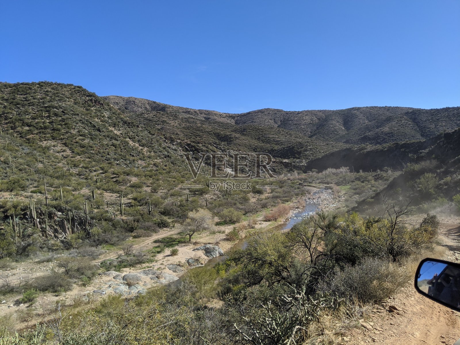 自然骑照片摄影图片