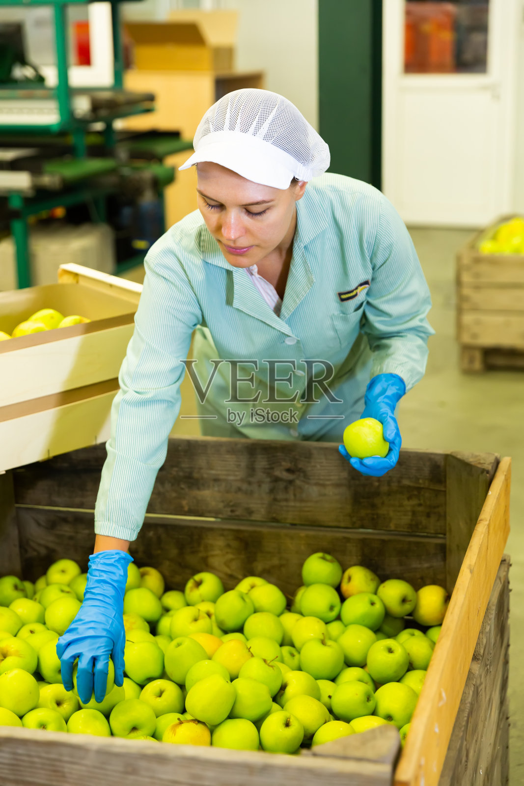 检查苹果质量的女孩照片摄影图片