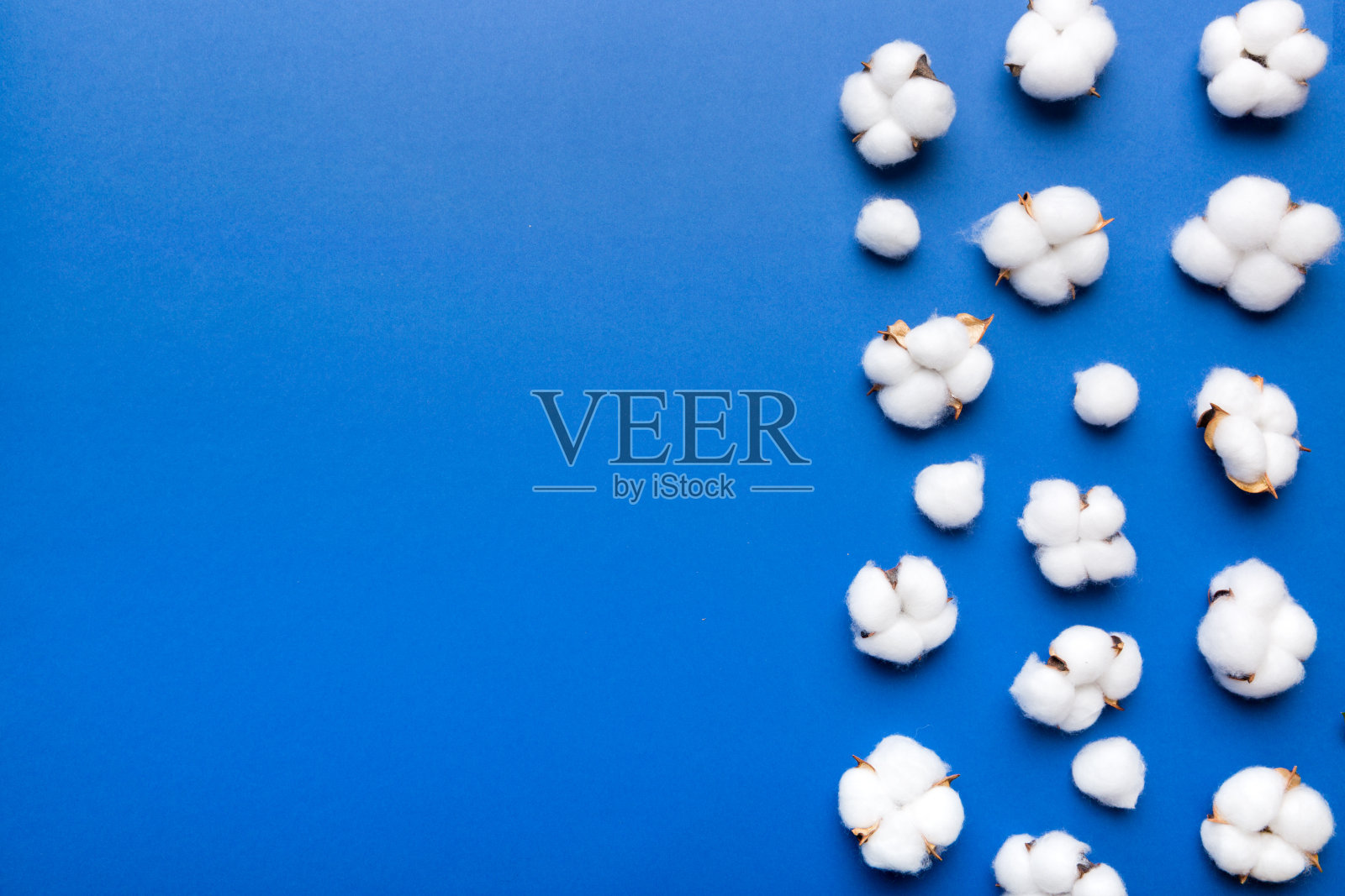 秋天花平坦躺背景组成。干燥的白色蓬松的棉花花枝与绿色的叶子上彩色桌子与复制空间的视图照片摄影图片