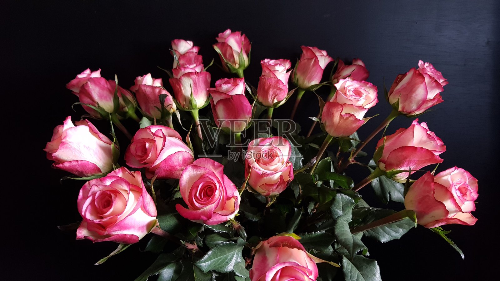 粉红色和白色玫瑰的花束照片摄影图片