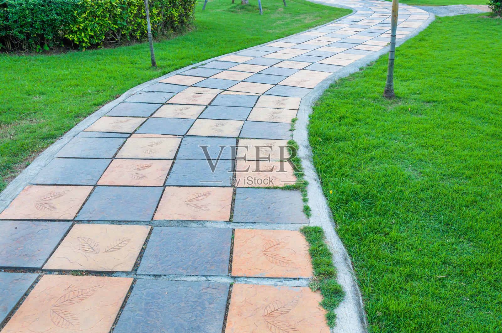 花园里的小路照片摄影图片