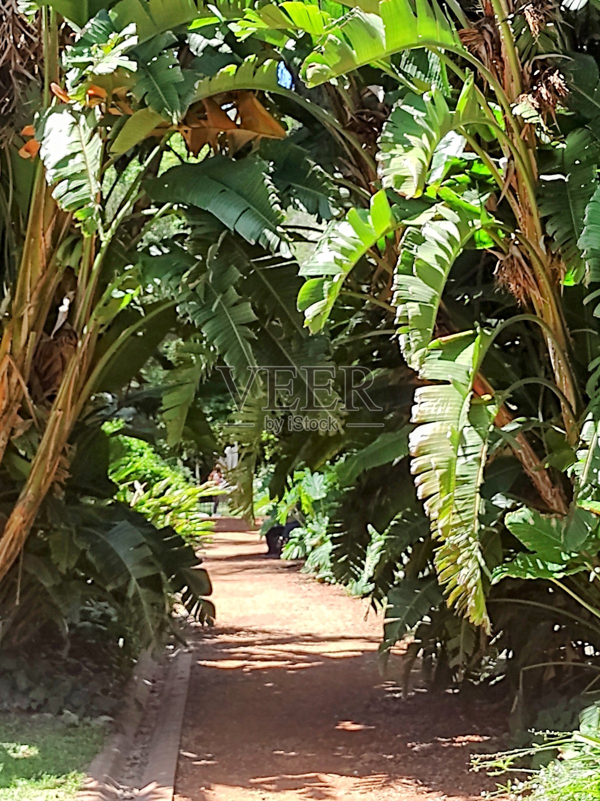 森德罗照片摄影图片