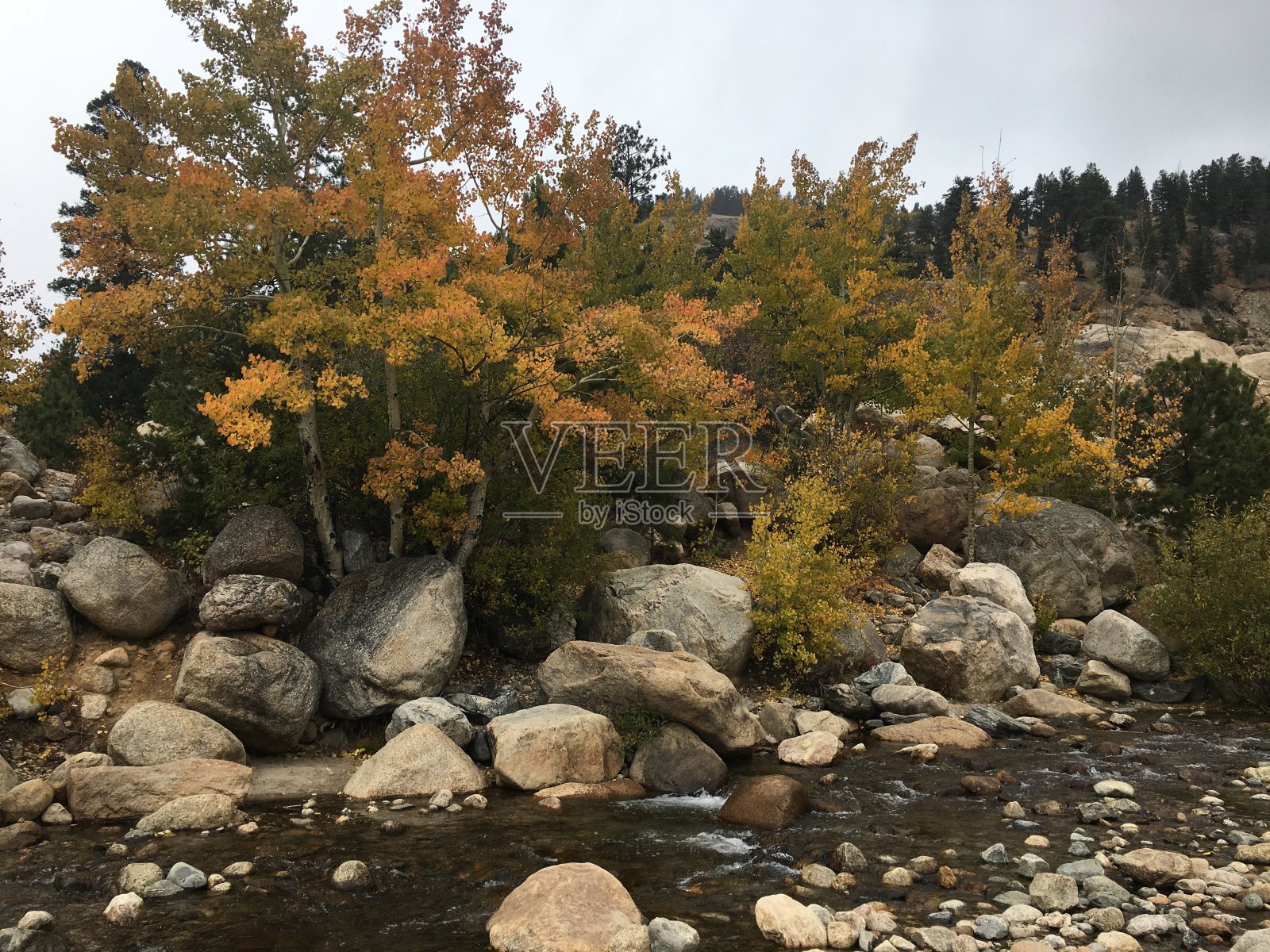 十月,科罗拉多州落基山国家公园。照片摄影图片