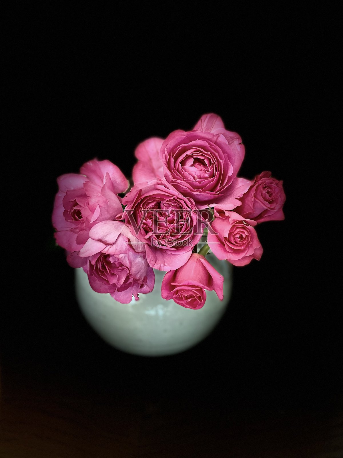 粉色的玫瑰照片摄影图片