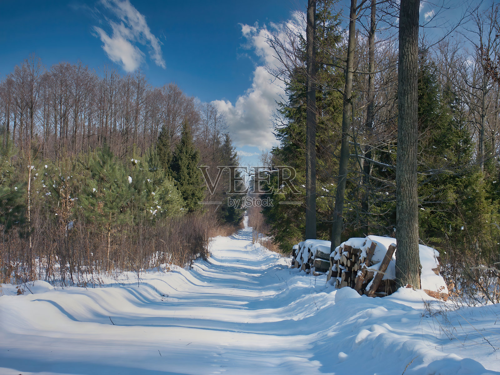 冬天在波兰照片摄影图片