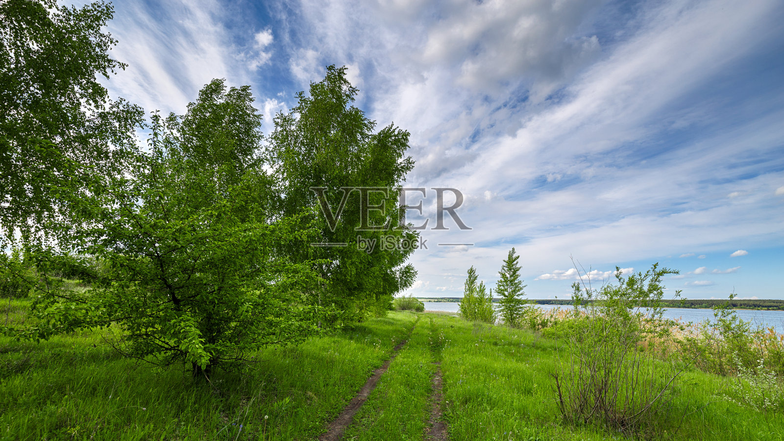 农村夏天的风景。蓝天白云,森林密布,道路穿过绿油油的草地。照片摄影图片