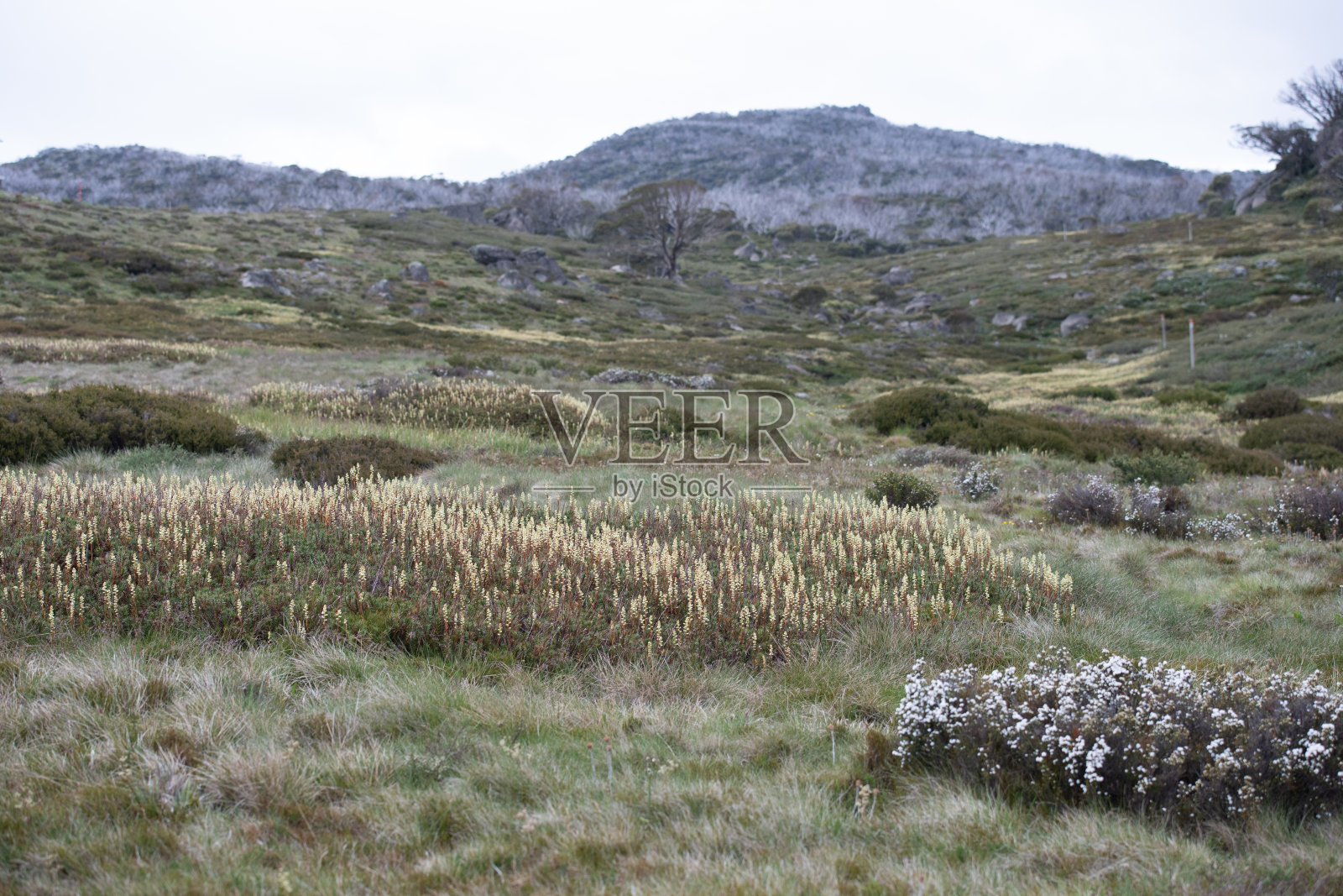 讨厌的人谷照片摄影图片