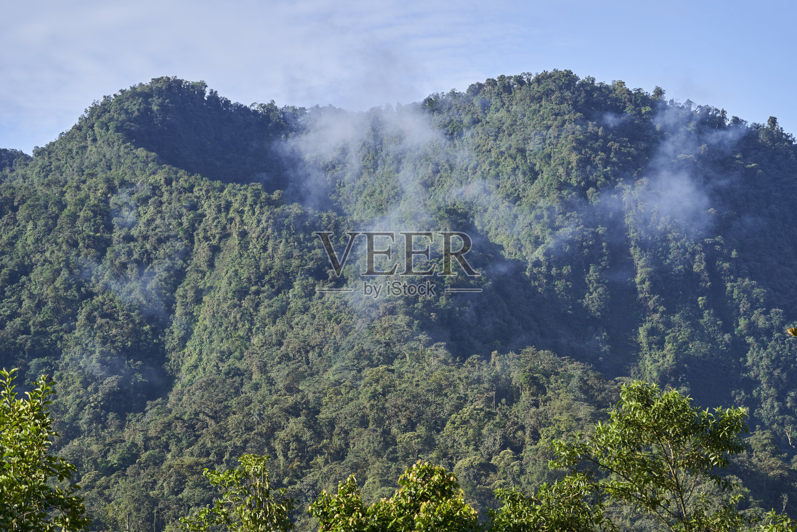 在南美洲厄瓜多尔安第斯山脉赤道附近的明多山上,雾从郁郁葱郁的热带雨林中升起照片摄影图片