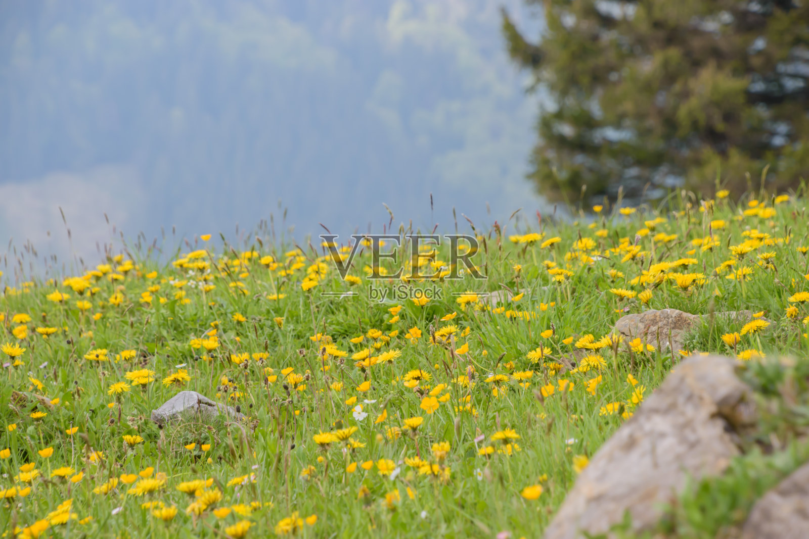 桑提斯附近美丽的瑞士春天景观。照片摄影图片