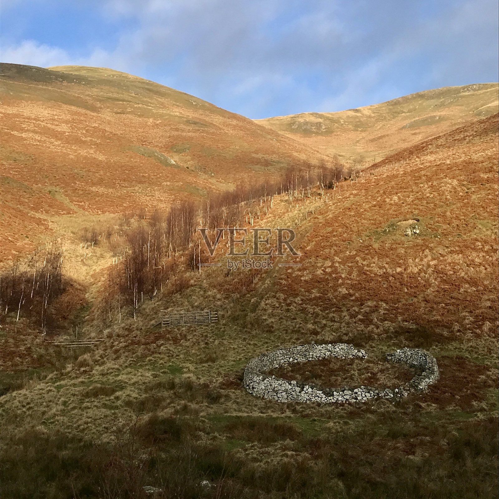 冬天的阳光从英格兰和苏格兰边界切维厄特山Pennine路看到的山坡上照片摄影图片