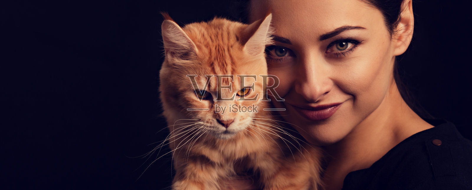 美丽的快乐微笑的化妆女人抱和拥抱与爱她的红色缅因猫。特写肖像。黑色背景上的艺术照片摄影图片