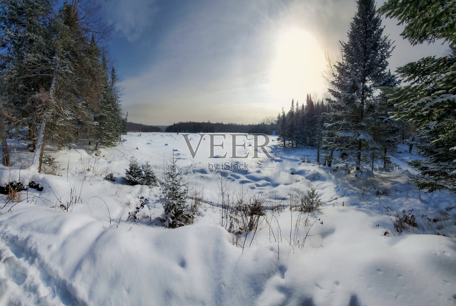 加拿大冬天结冰的湖照片摄影图片