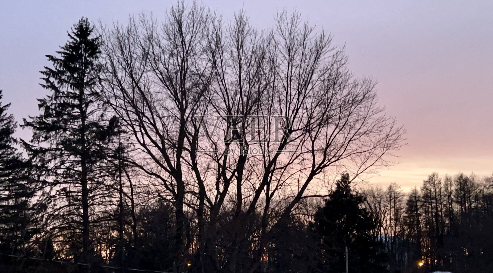 昏暗的冬天照片摄影图片