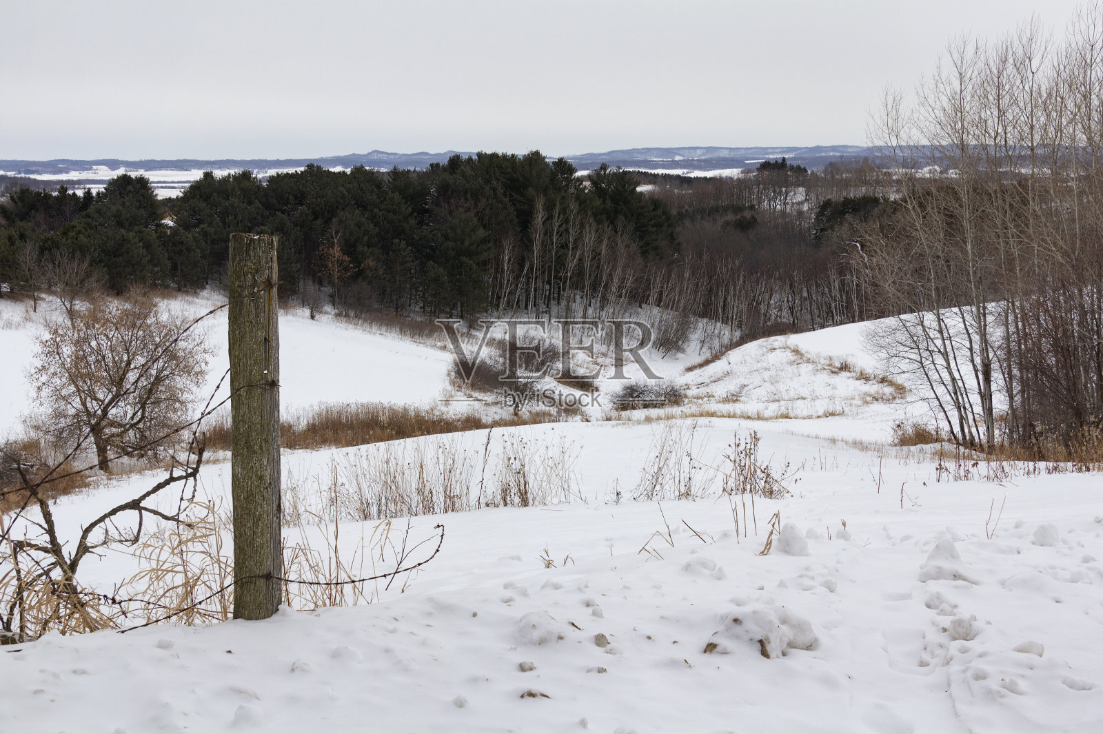 威斯康星州冬天一个寒冷的早晨照片摄影图片