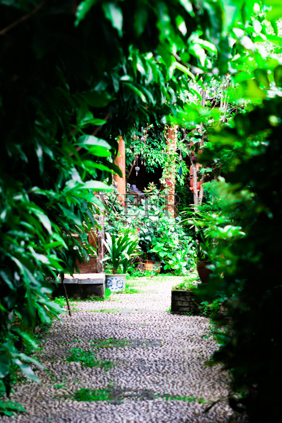 一个愉快的下午,在花园的入口处,绿色的植物长成了一个门廊的形状照片摄影图片