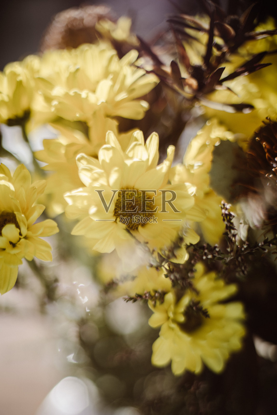 花瓶里的花散放了照片摄影图片