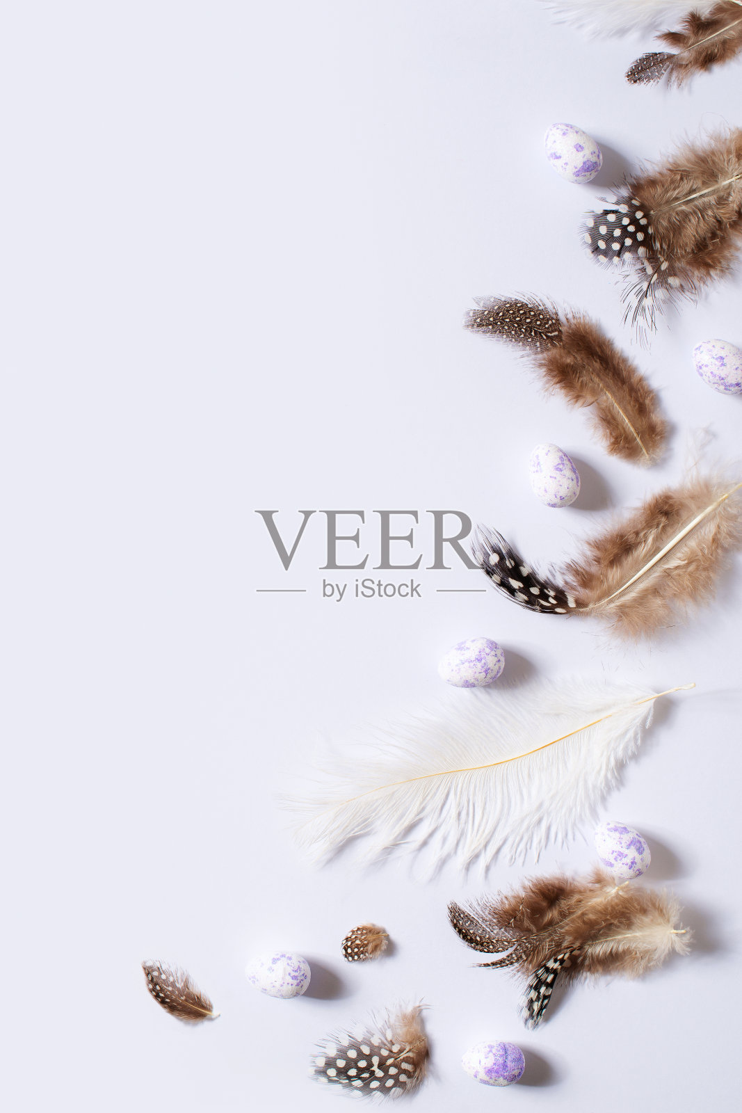 快乐的复活节概念与羽毛和复活节蛋在淡紫色的颜色背景照片摄影图片