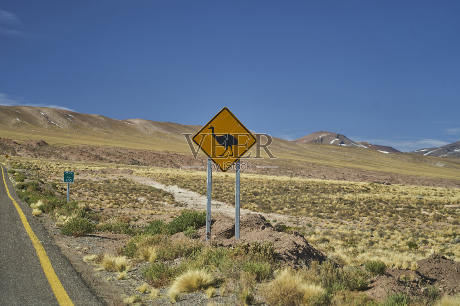 在智利的泛美高速公路上,有一个黑色和黄色的路标,警告人们注意美洲美洲鸵(Nandu, greater Rhea, Rhea americana),并要求人们注意和小心照片摄影图片