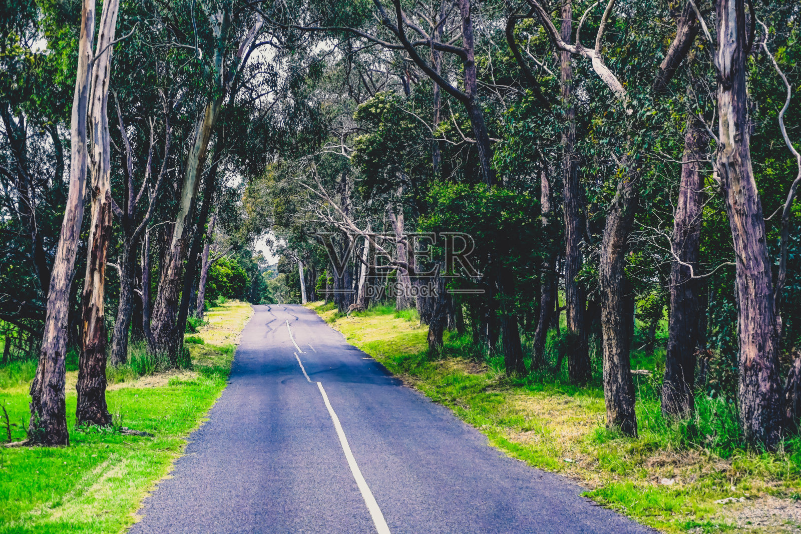 一条穿过澳大利亚乡村的公路。照片摄影图片