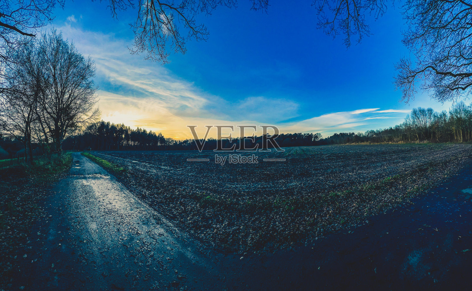 冬天,一条通往田野旁边森林的小路。照片摄影图片