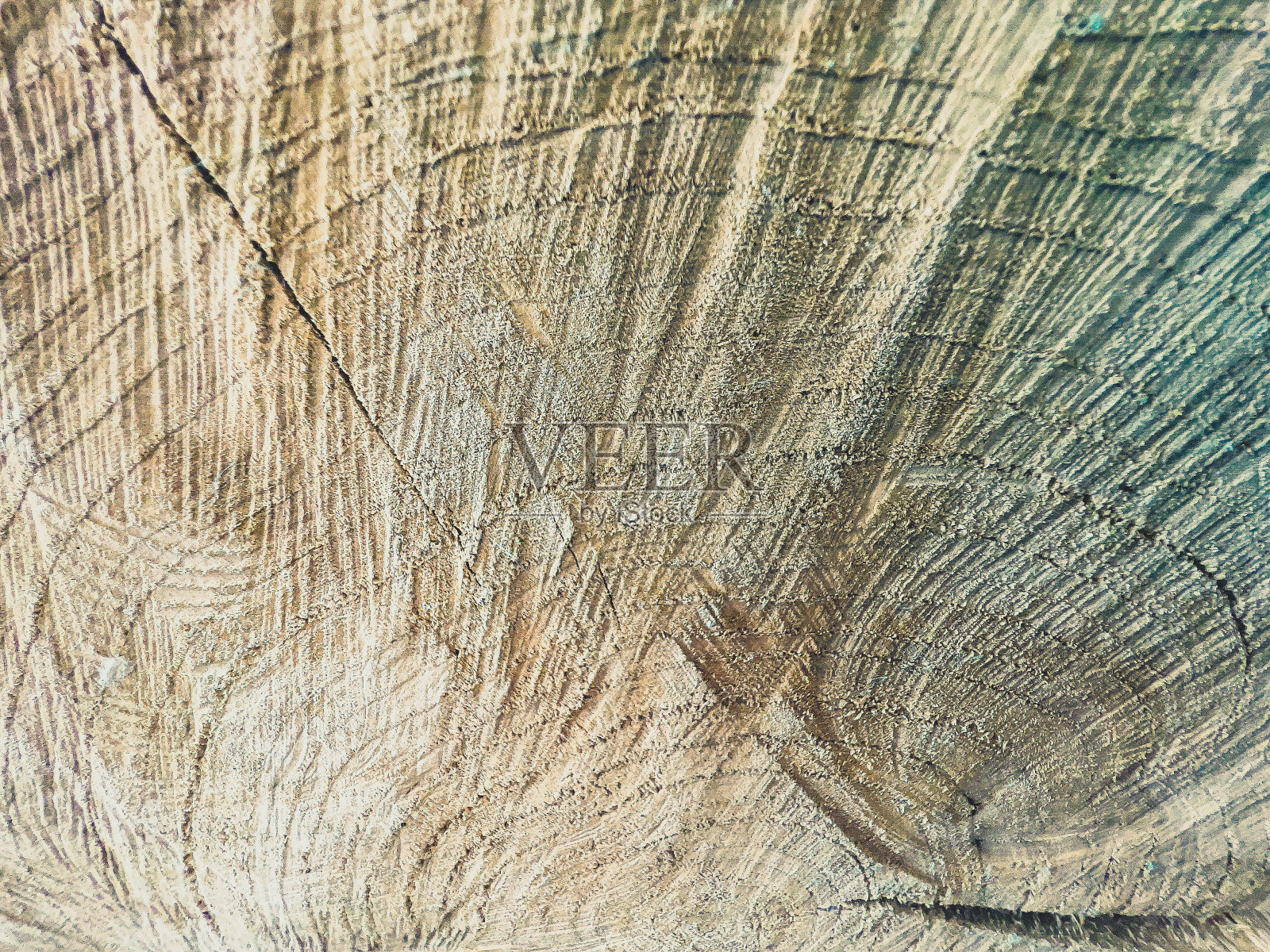 树桩干而轻的树桩,作为纹理或背景照片摄影图片