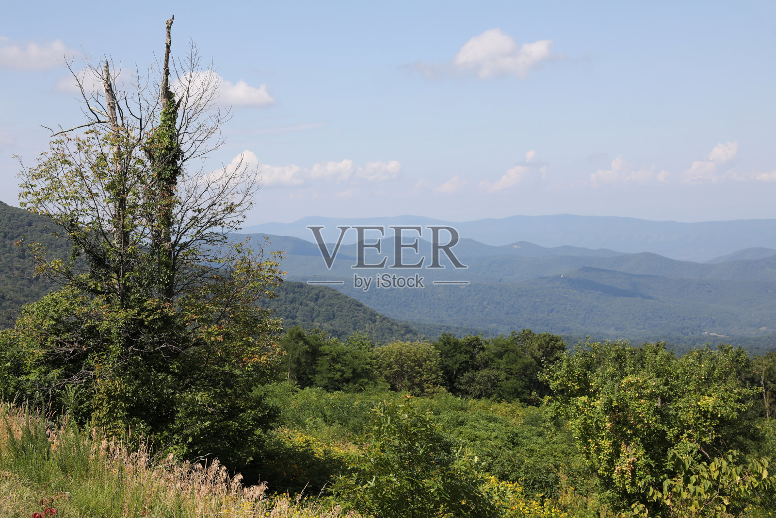 仙纳多厄国家公园的天际线大道照片摄影图片