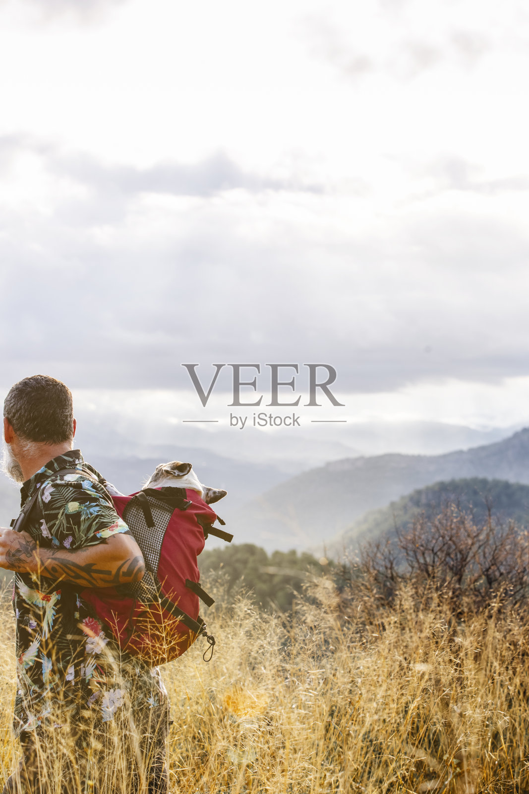 后面的侧面视图的人与狗背包在山上照片摄影图片