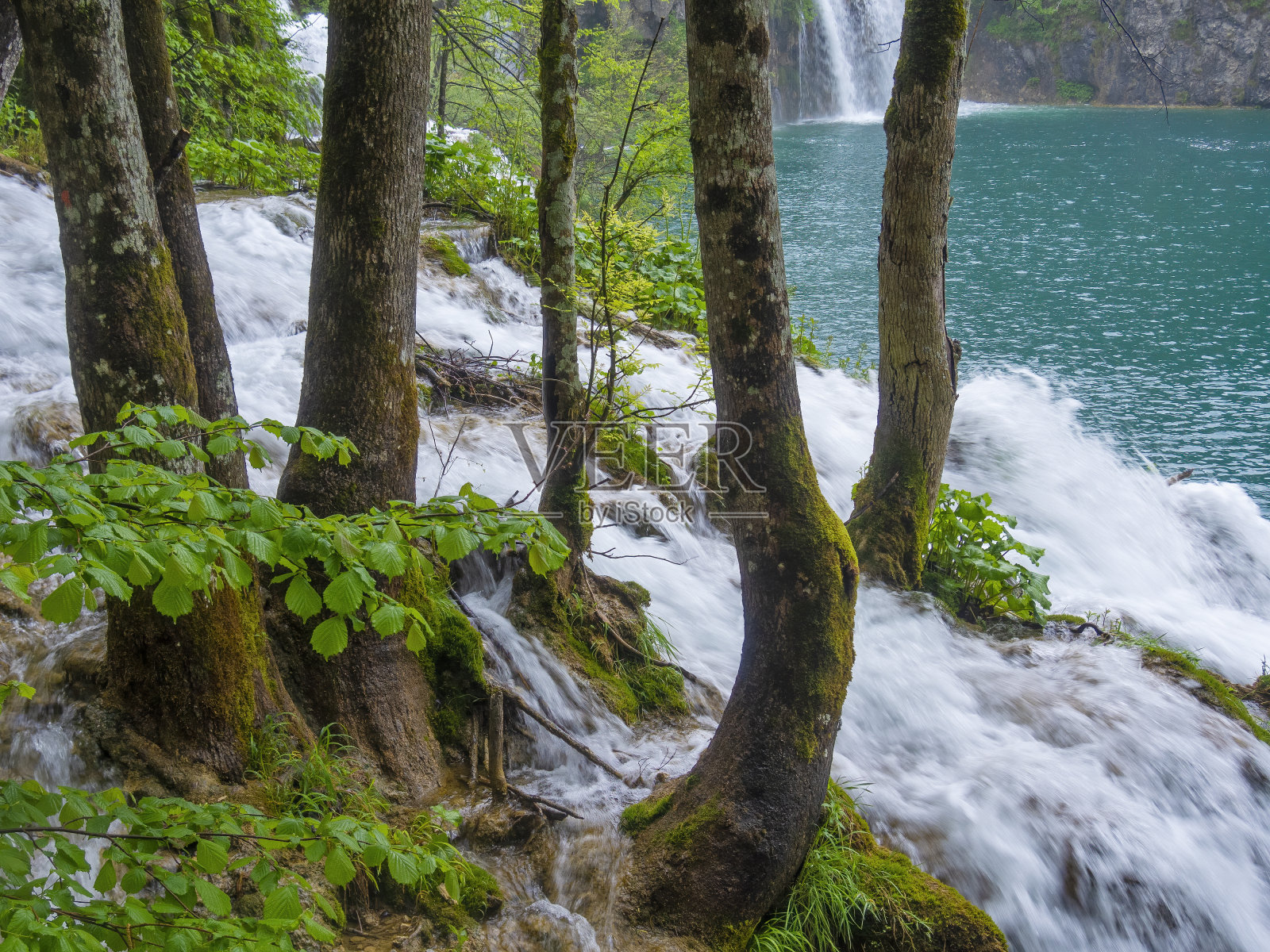克罗地亚著名的Plitvice湖。照片摄影图片