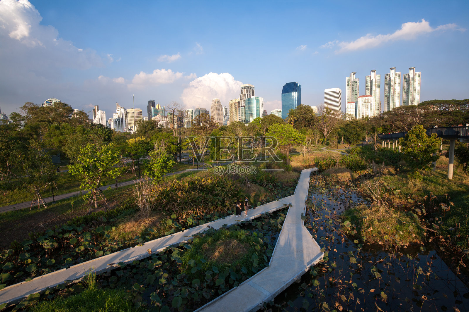 Benjakitti森林公园照片摄影图片