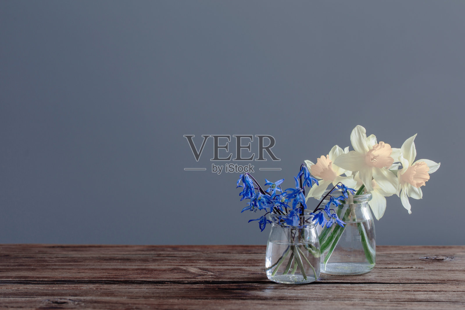 黄色水仙和蓝色的雪花莲花瓶在黑色背景的木制桌子上照片摄影图片