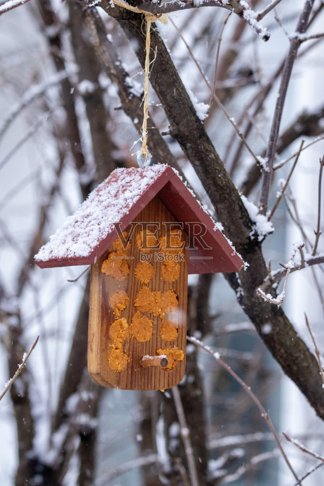 野鸟喂食器与积雪覆盖的树枝照片摄影图片