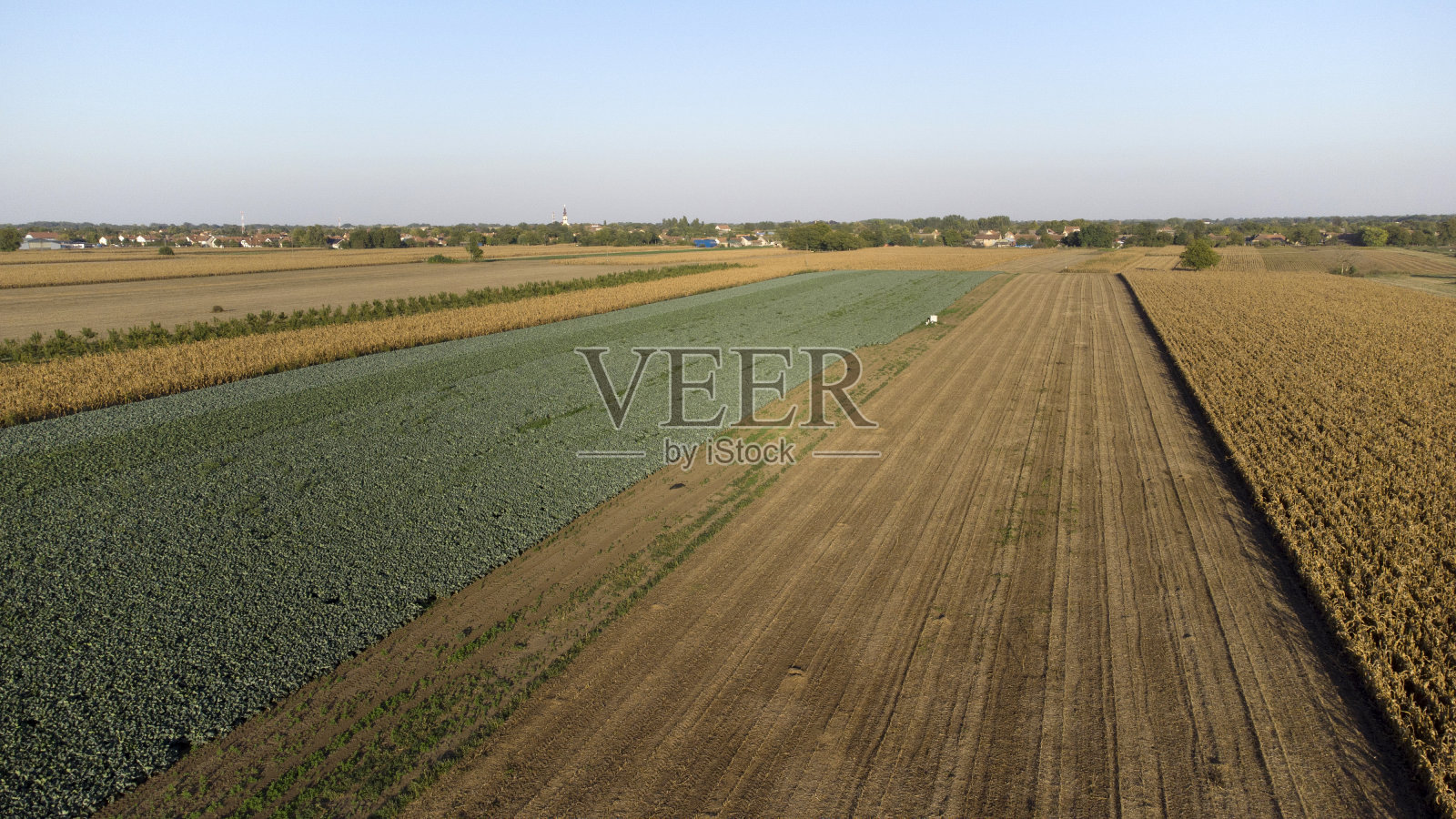 阳光明媚的秋日里,从空中俯瞰农田照片摄影图片
